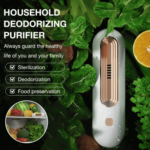 Household deodorizing purifier