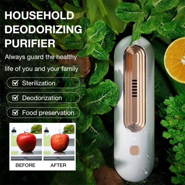Household deodorizing purifier